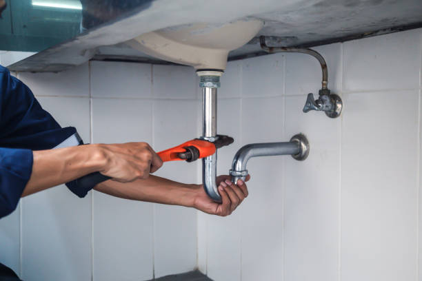 Best Toilet Repair Services  in Hector, MN